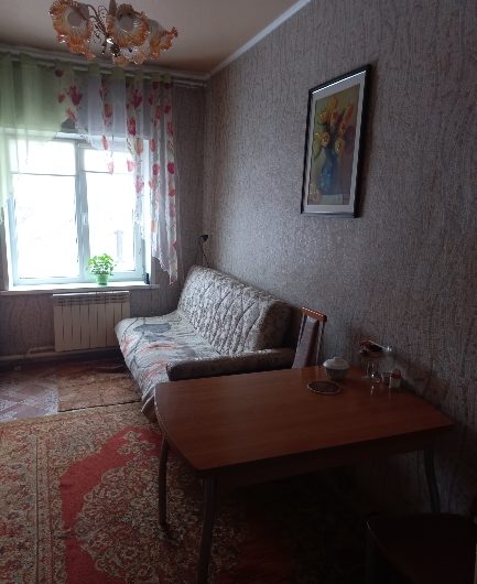 Большой дом в Н.Городке