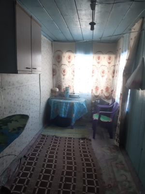 Дом в д. Инюшка