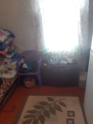 Дом в д. Инюшка